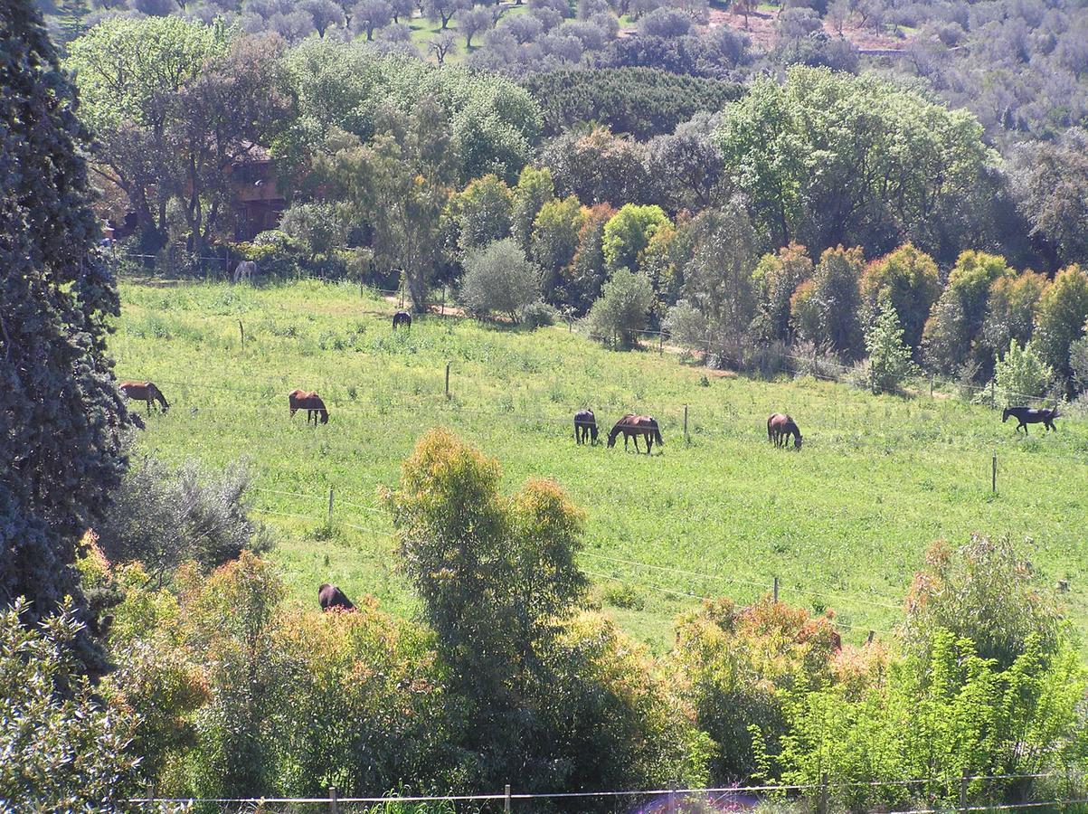 Agriturismo Grazia Orbetello Luaran gambar